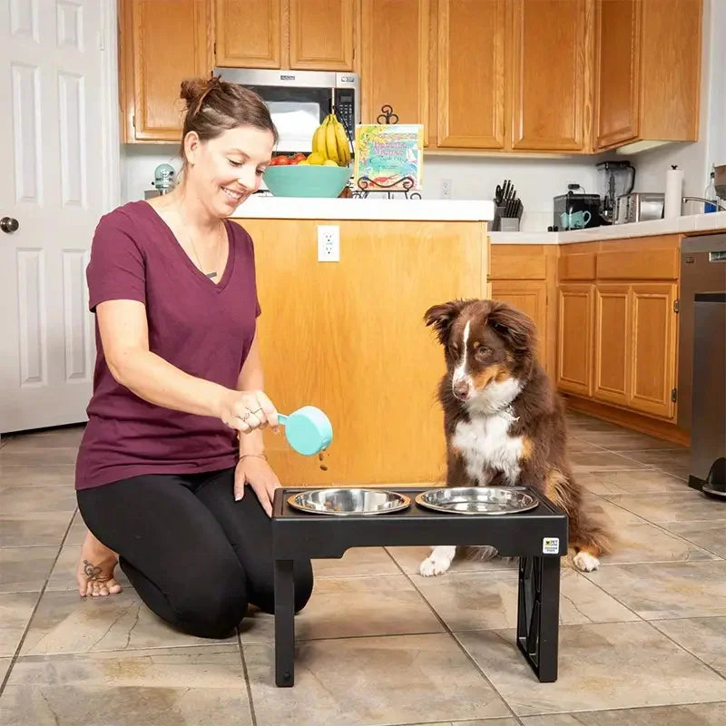 Stainless Steel Dog & Cat Double Bowl with Lifting Rack