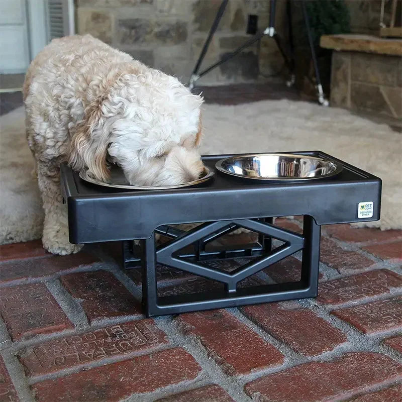 Stainless Steel Dog & Cat Double Bowl with Lifting Rack